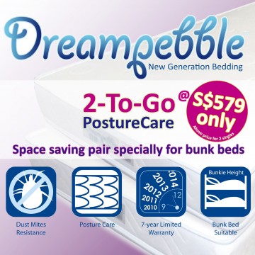 Dreampebble 2-To-Go PostureCare